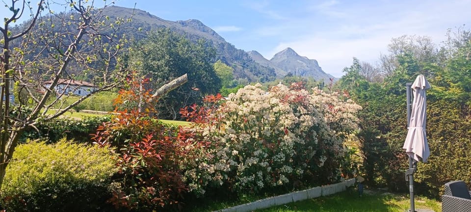 Garden, Mountain view