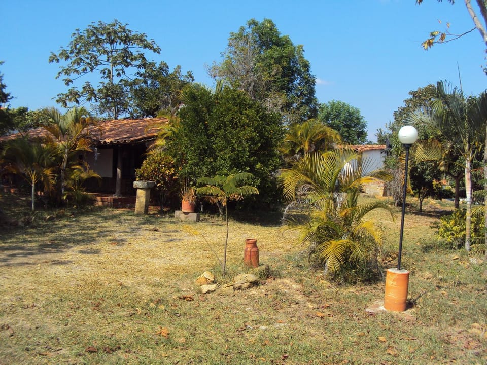 Day, Garden