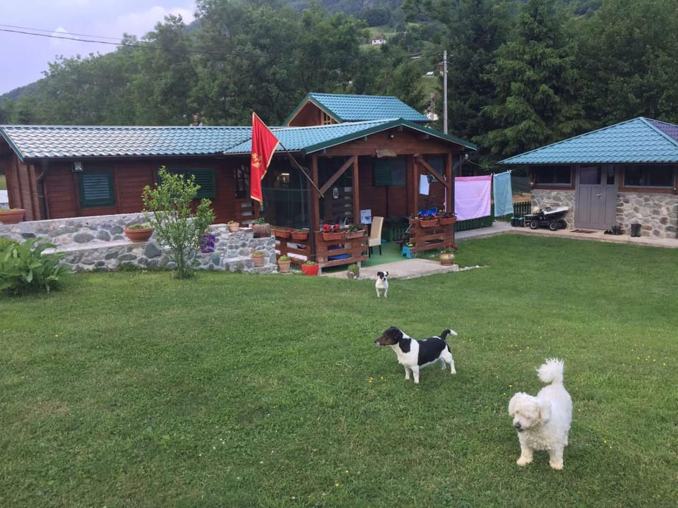 Cottage Ravna Rijeka House in Montenegro