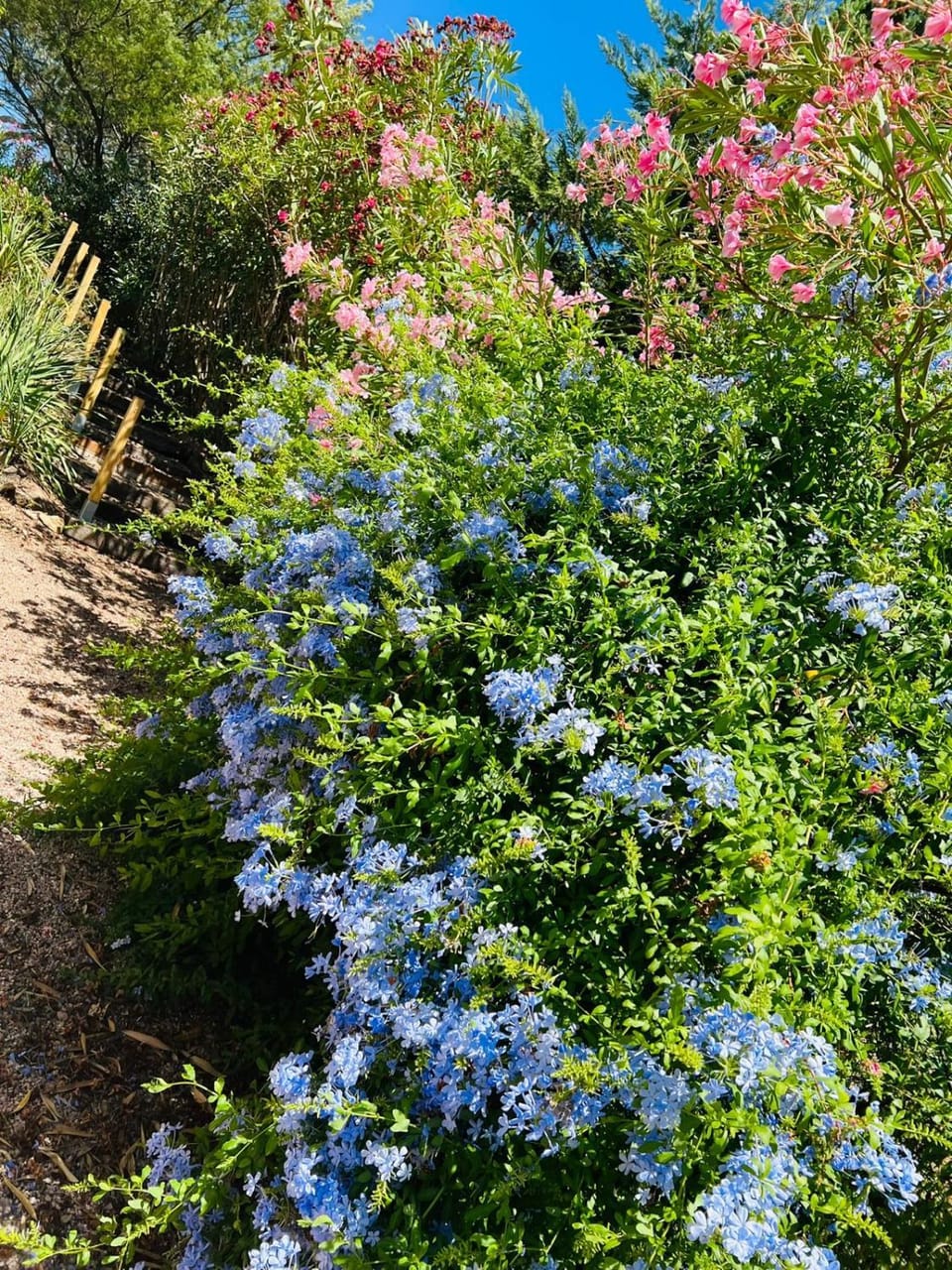 Garden, acessibility