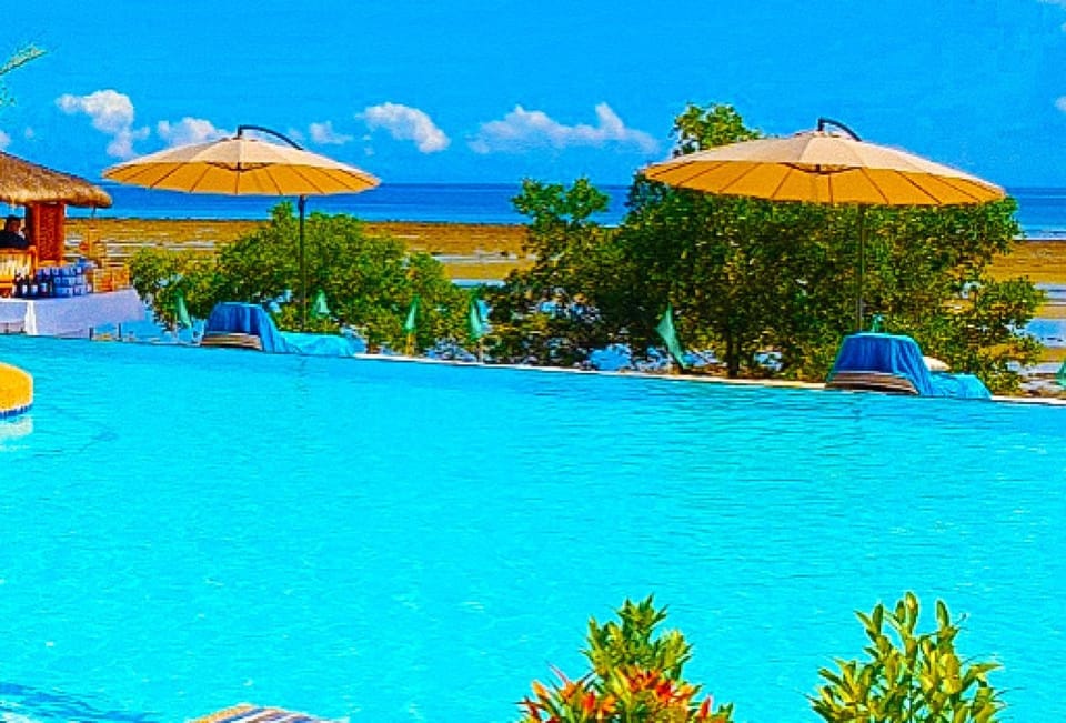 Day, Swimming pool, sunbed