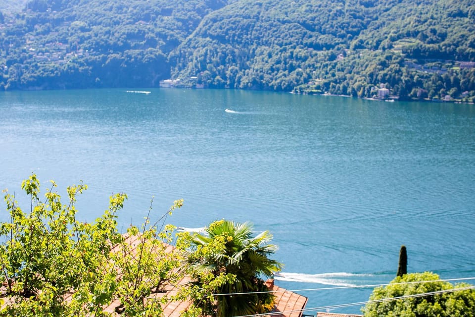 Natural landscape, Lake view