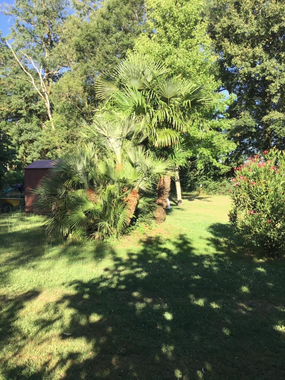 Cabane au fond du jardin Luxury tent in Nouvelle-Aquitaine