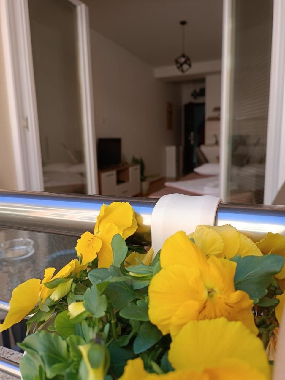 Apartment Risteski Lux Apartment in Ohrid