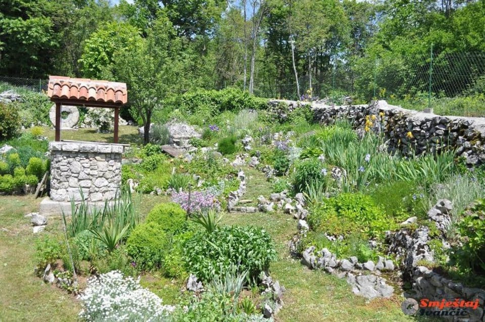 Spring, Natural landscape, Garden