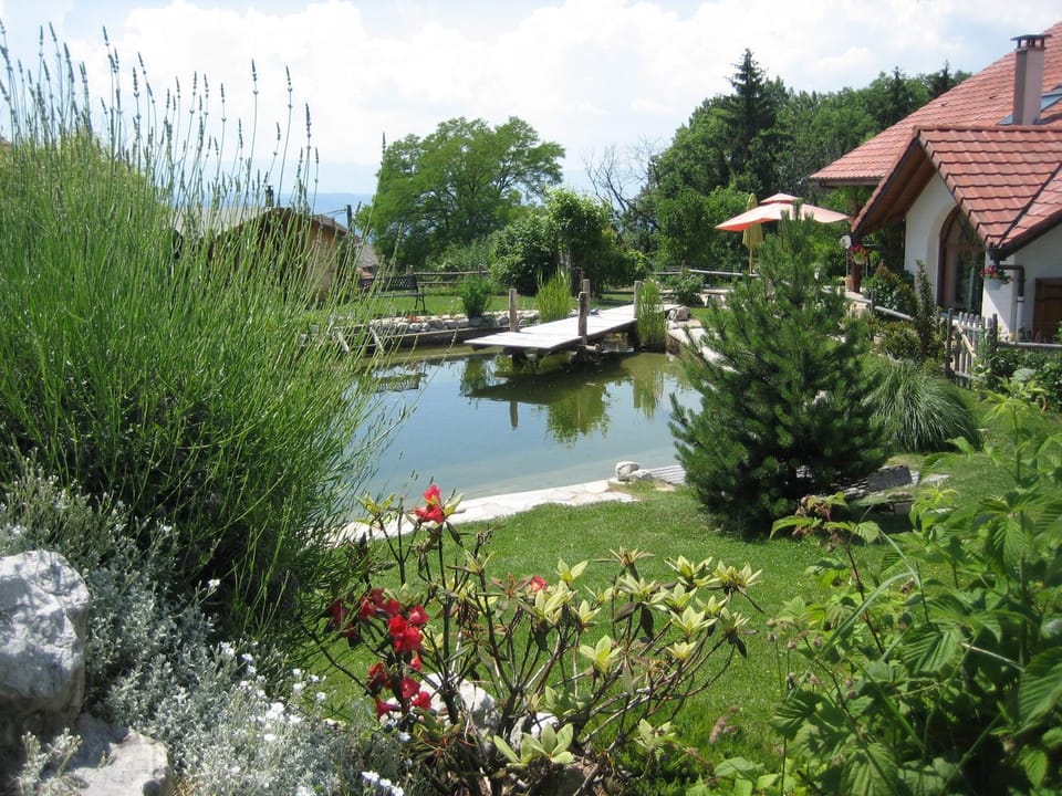 Lake view, Swimming pool