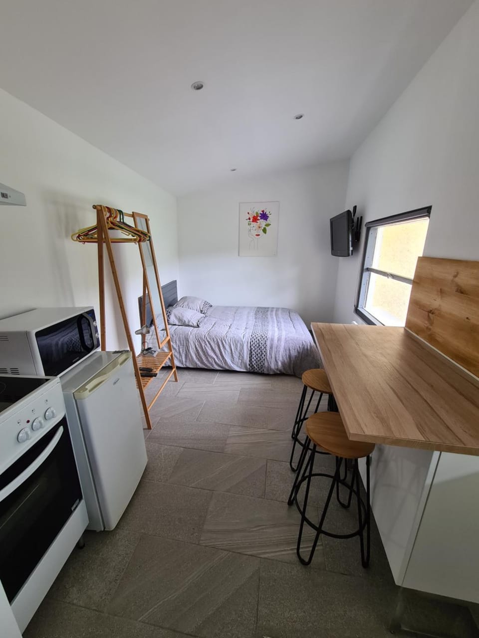 Bed, TV and multimedia, Kitchen or kitchenette, Photo of the whole room, Dining area