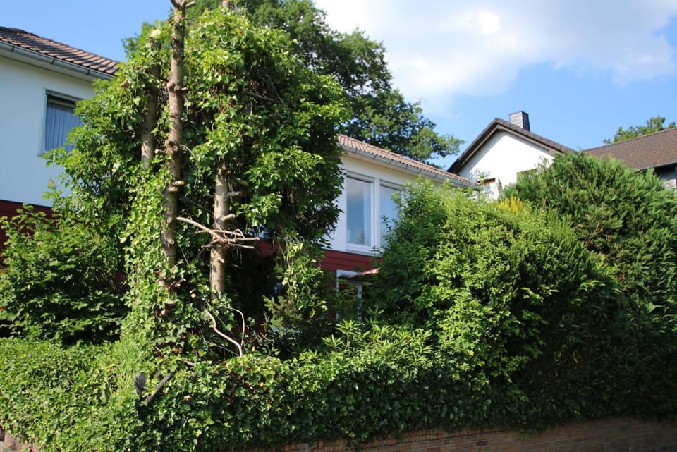 Ferienwohnung Zum Rosengarten Driedorf 3 Sterne Unterkunft im Westerwald mit Komfort & zentraler Lage Apartment in Rhineland-Palatinate