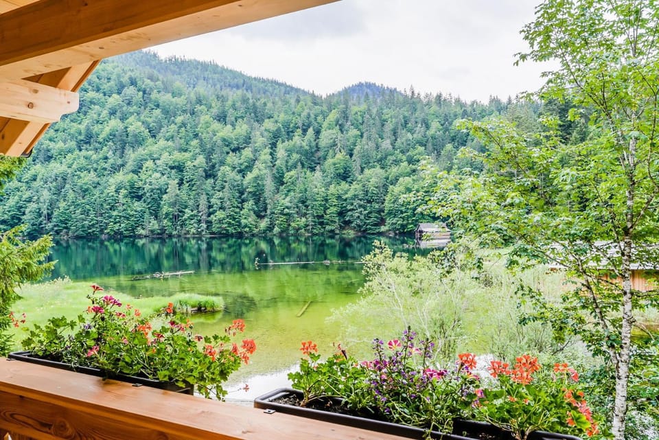 Lake view