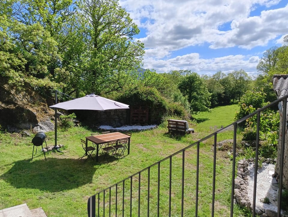 Garden view
