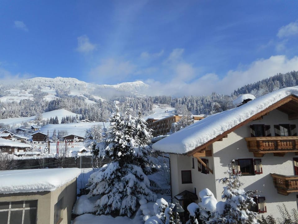 Winter, Mountain view