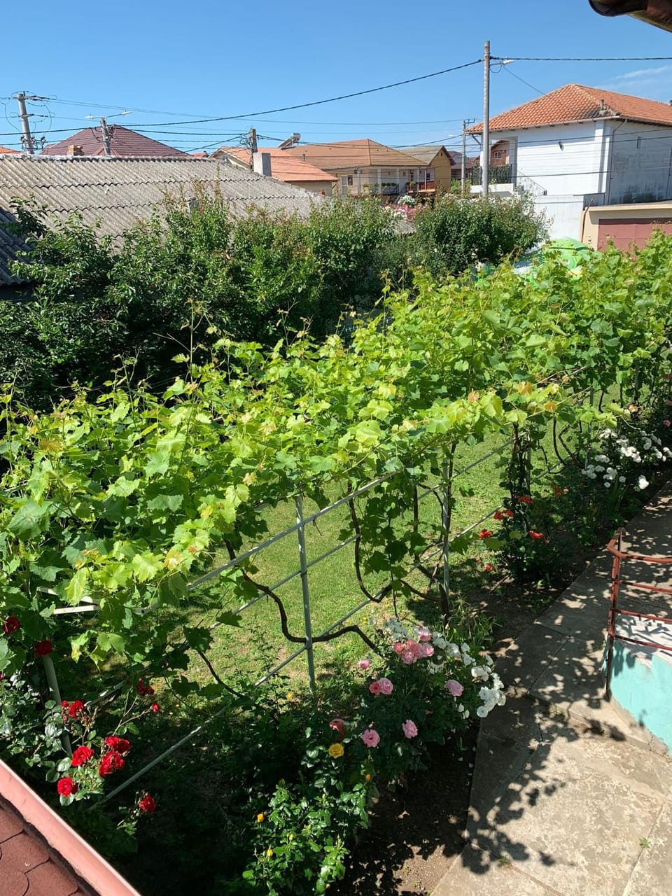 Day, Garden, Garden view