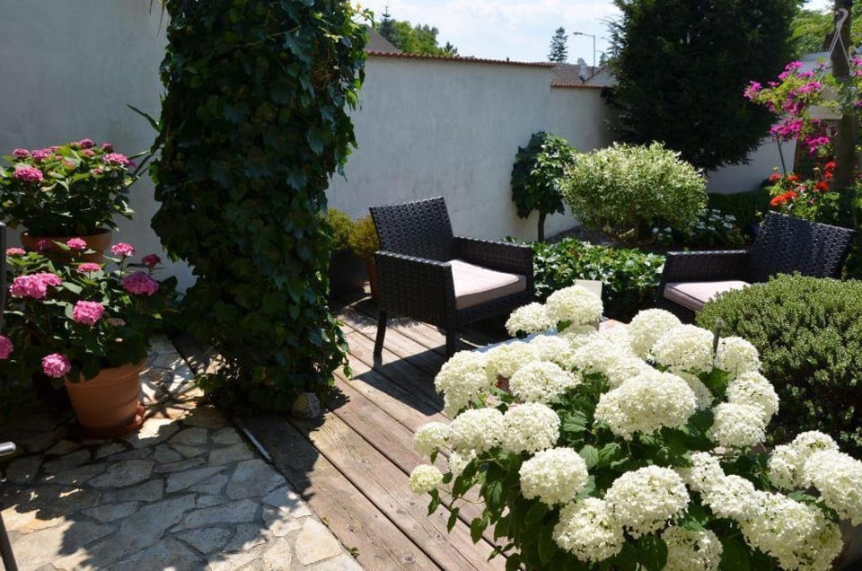 Patio, Garden