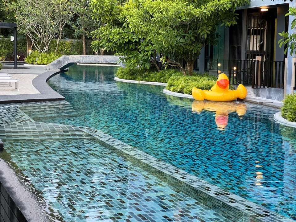 Pool view, Swimming pool