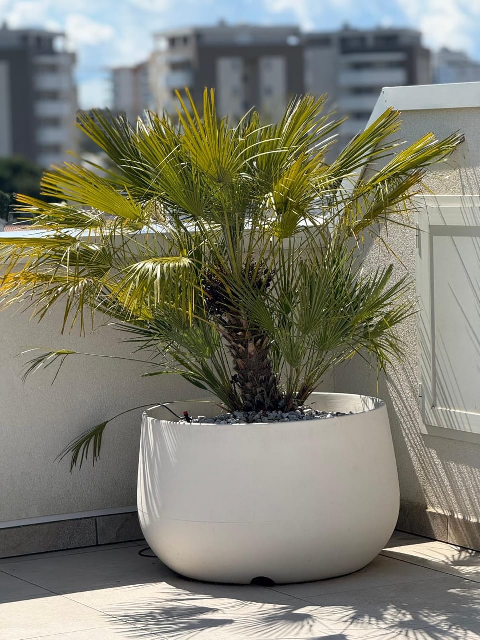 Attico Sole a Jesolo con terrazza panoramica Apartment in Lido di Jesolo