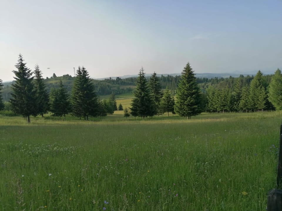 Planinska kuća Jabuka Chalet in Zlatibor District, Serbia
