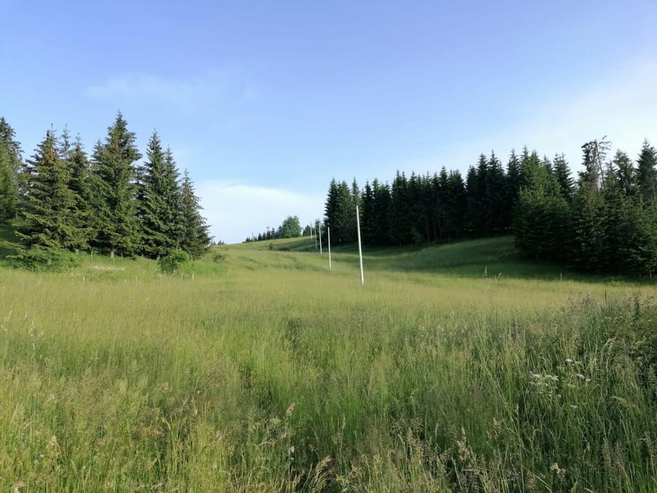 Planinska kuća Jabuka Chalet in Zlatibor District, Serbia