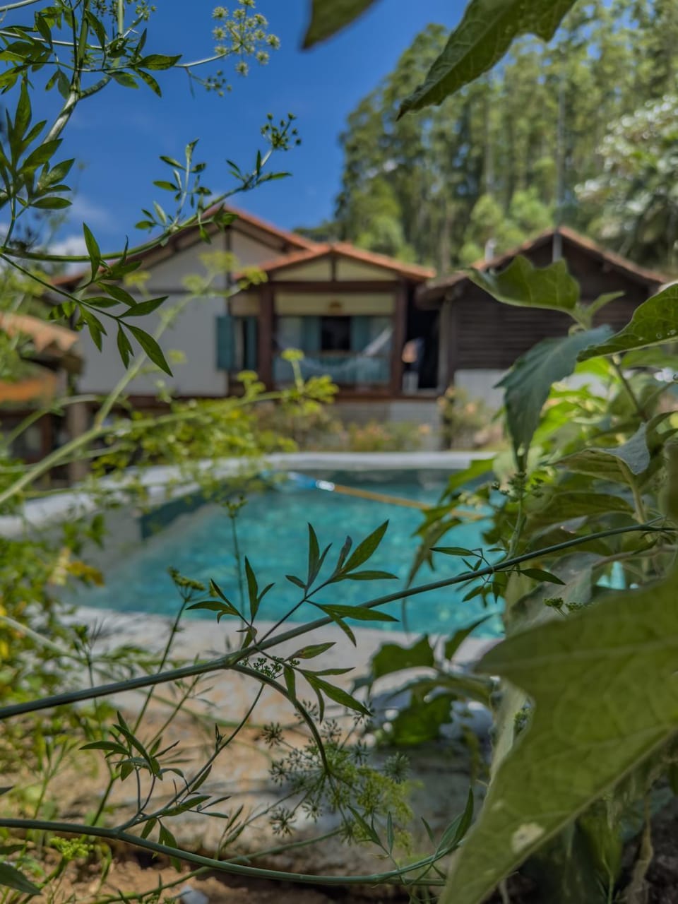 Property building, Day, Garden, Pool view, Swimming pool