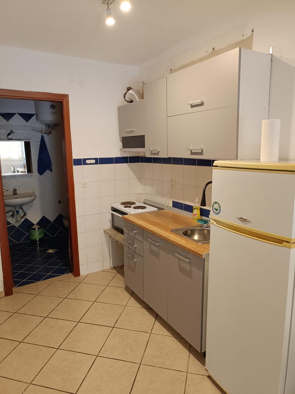 Seaview Oasis Apartment in Nikiti