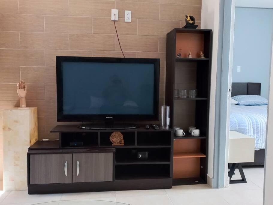TV and multimedia