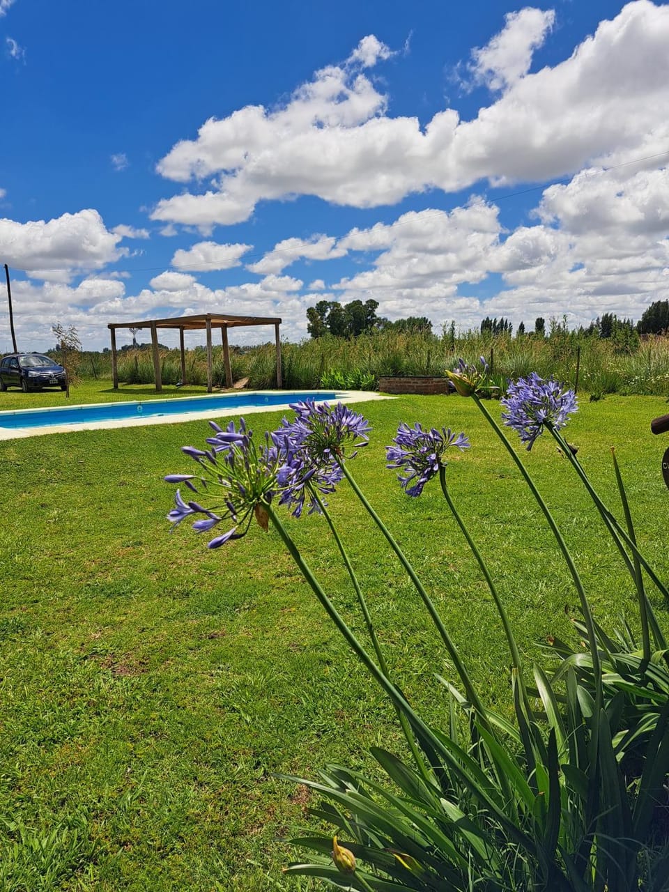 Garden, Garden view