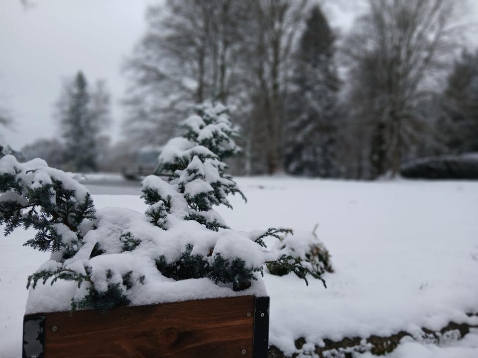 Winter