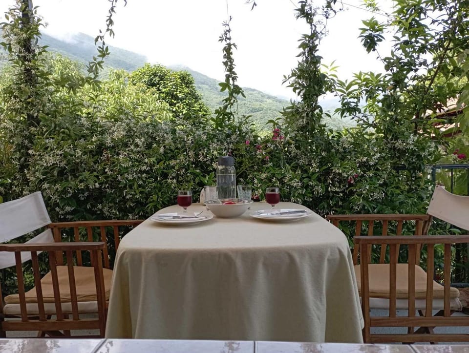 Beautiful Pelion Guesthouse with Spectacular Views House in Magnesia Prefecture, Greece