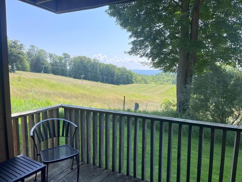 Spacious Condo with Pool Pass! House in Michigan