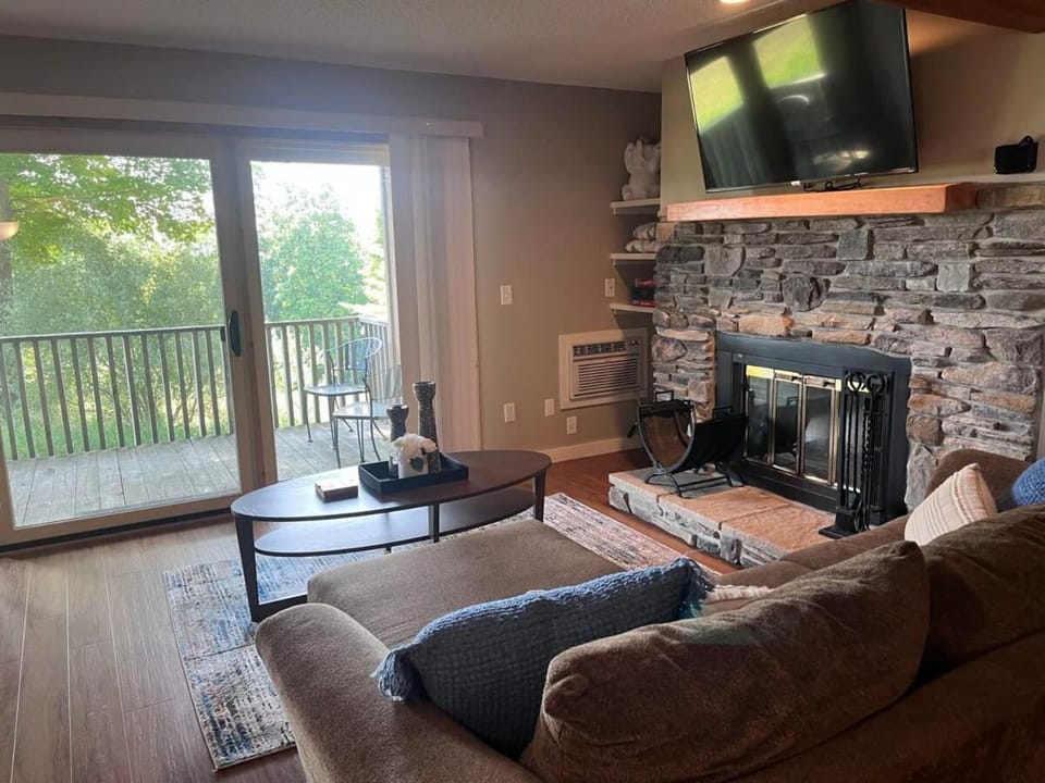 Spacious Condo with Pool Pass! House in Michigan