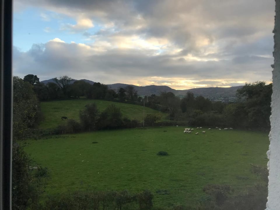 Mourne Country Cottage House in Warrenpoint