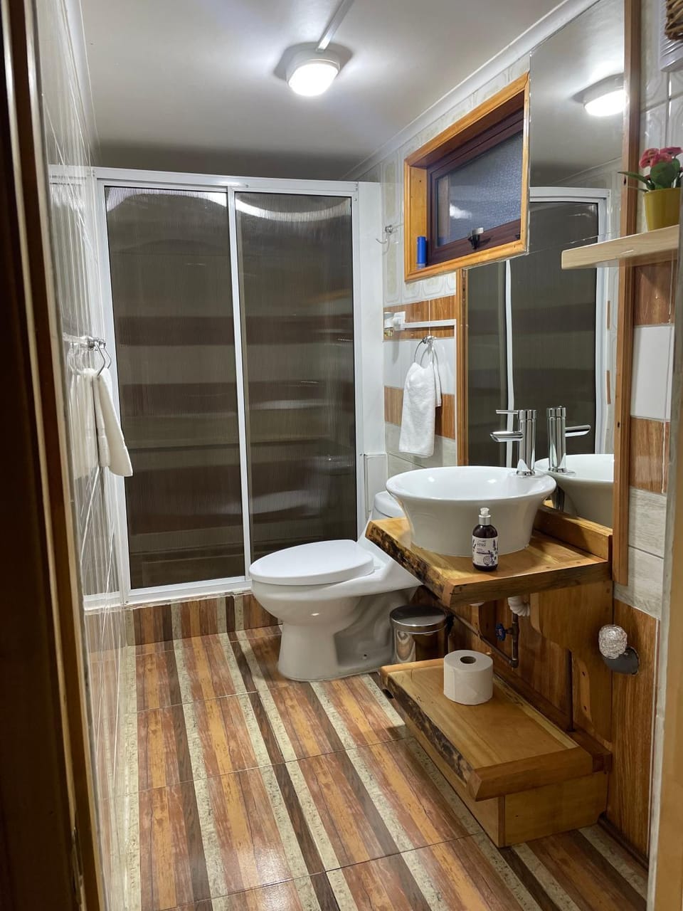Shower, Toilet, Bathroom, Bath, towels