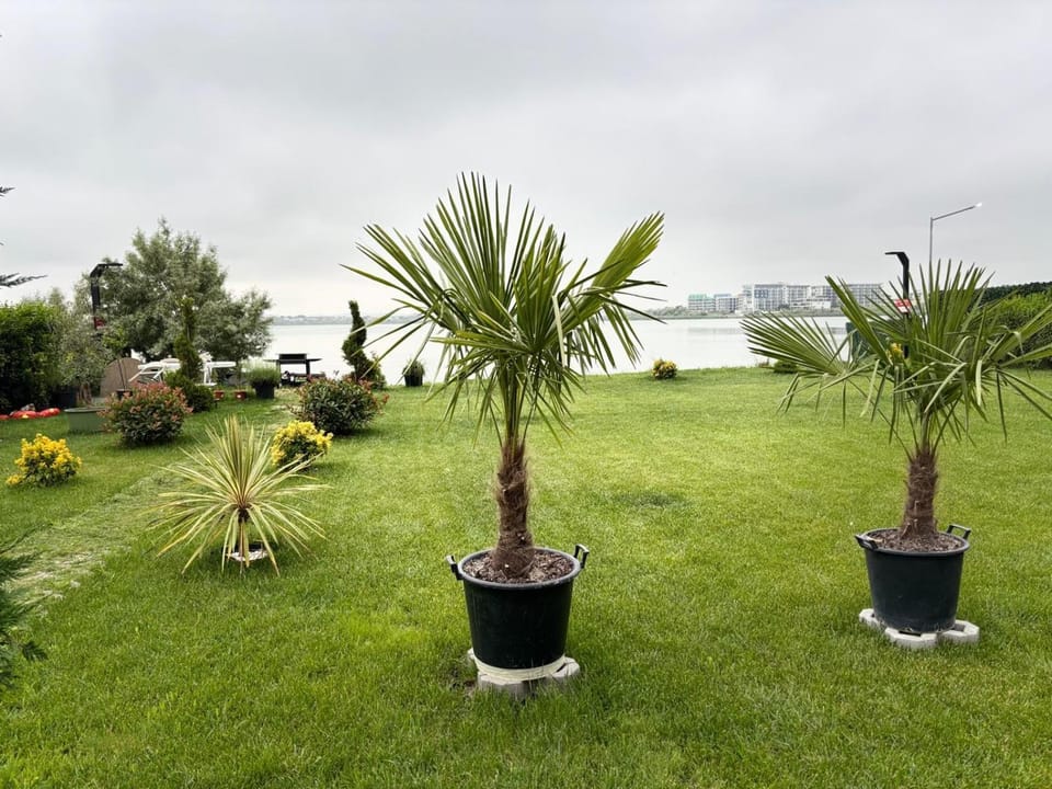 Garden, Lake view