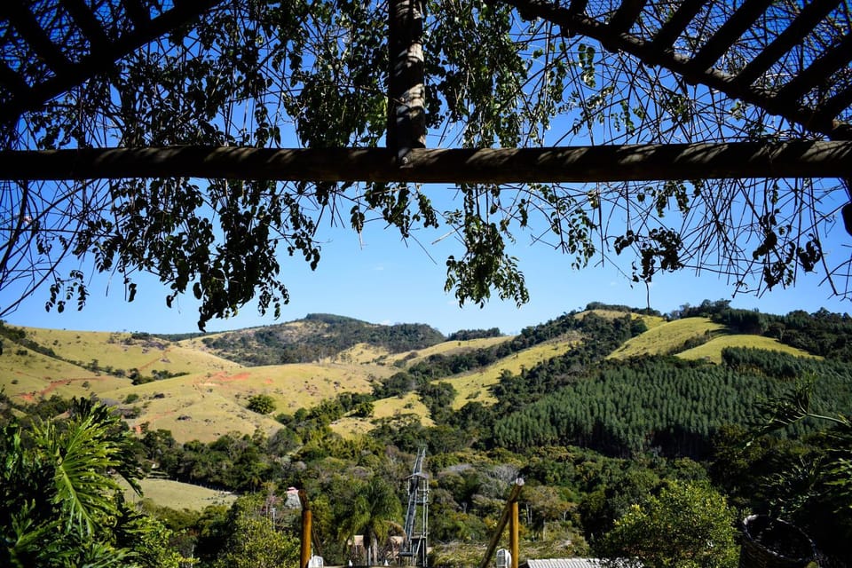 Natural landscape, Garden, Mountain view
