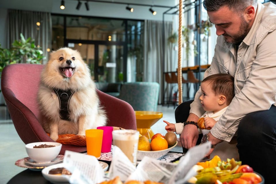 View (from property/room)