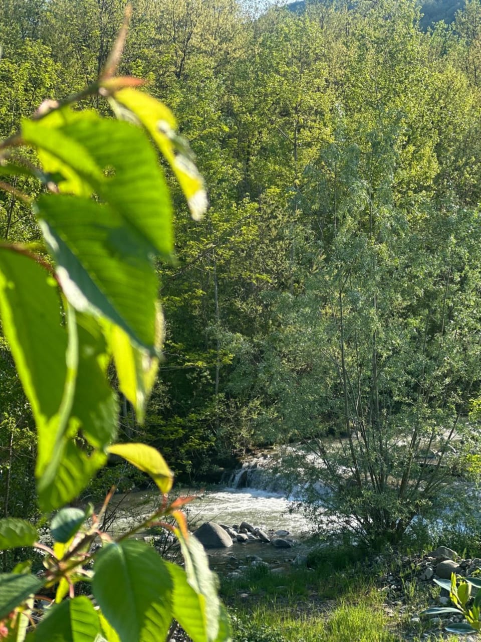 Le Boccede Country House B&B Bed and Breakfast in Emilia-Romagna