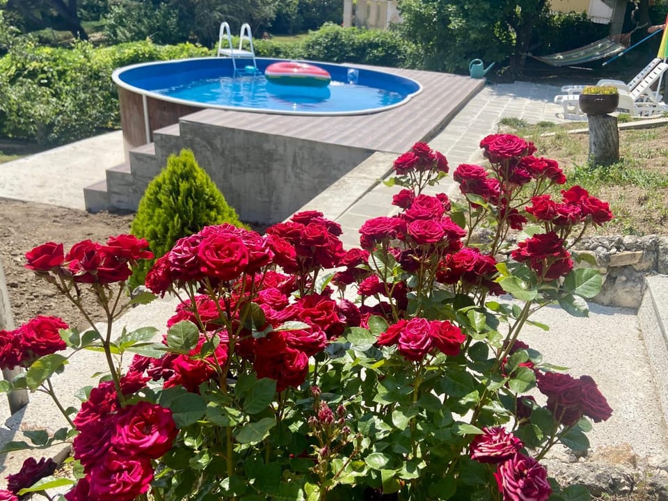 Villa Stella - private house with parking spot, pool and sea view Villa in Varna