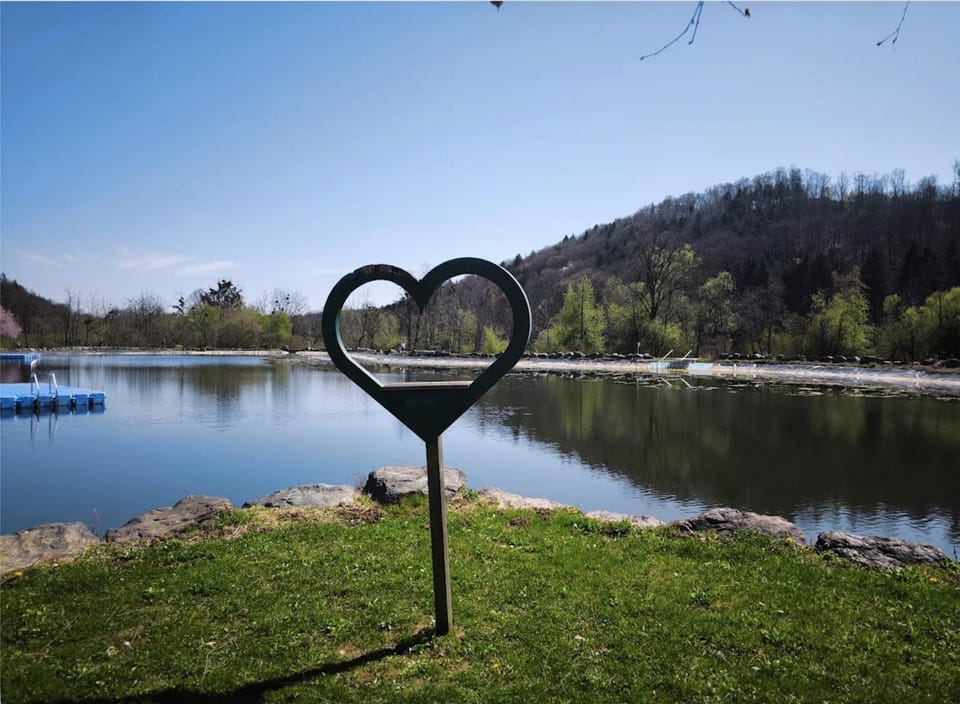 Lake view