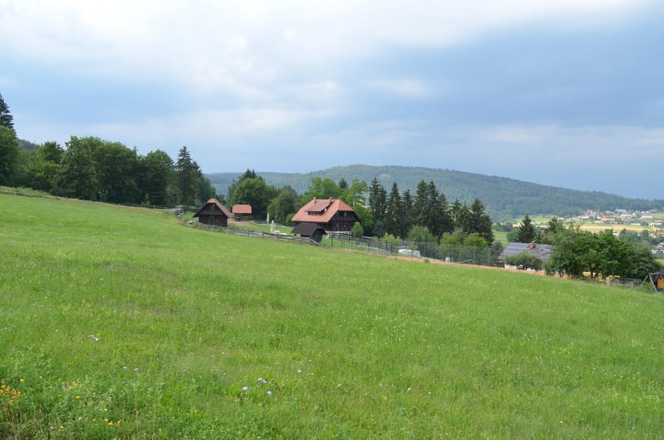 View (from property/room)