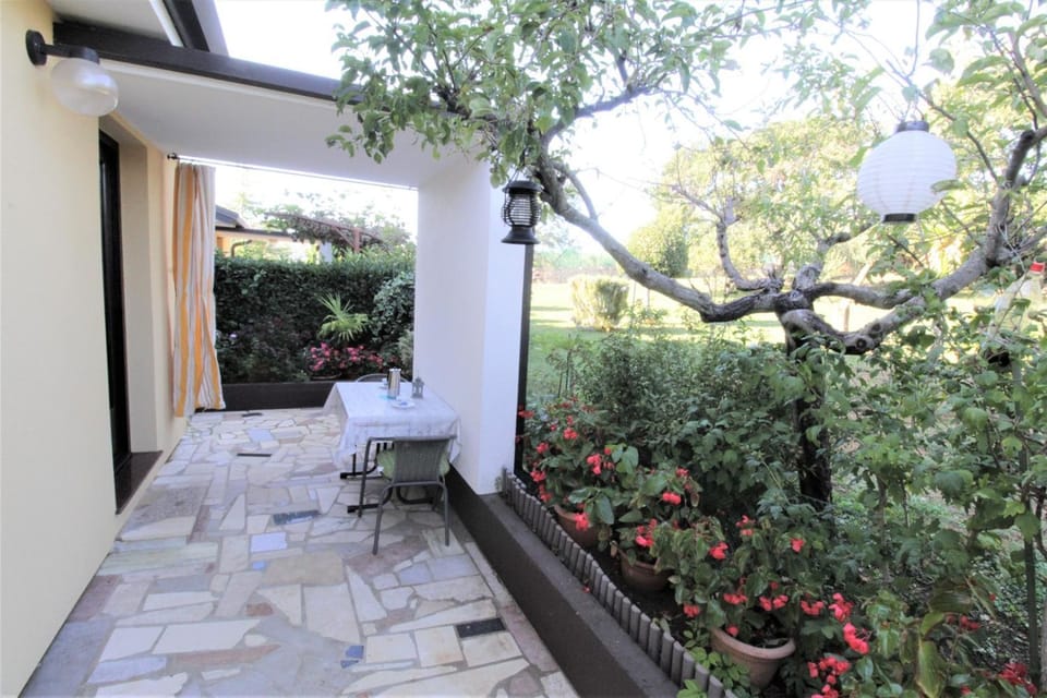 Apartments Graziella Zambratija Bed and Breakfast in Istria County