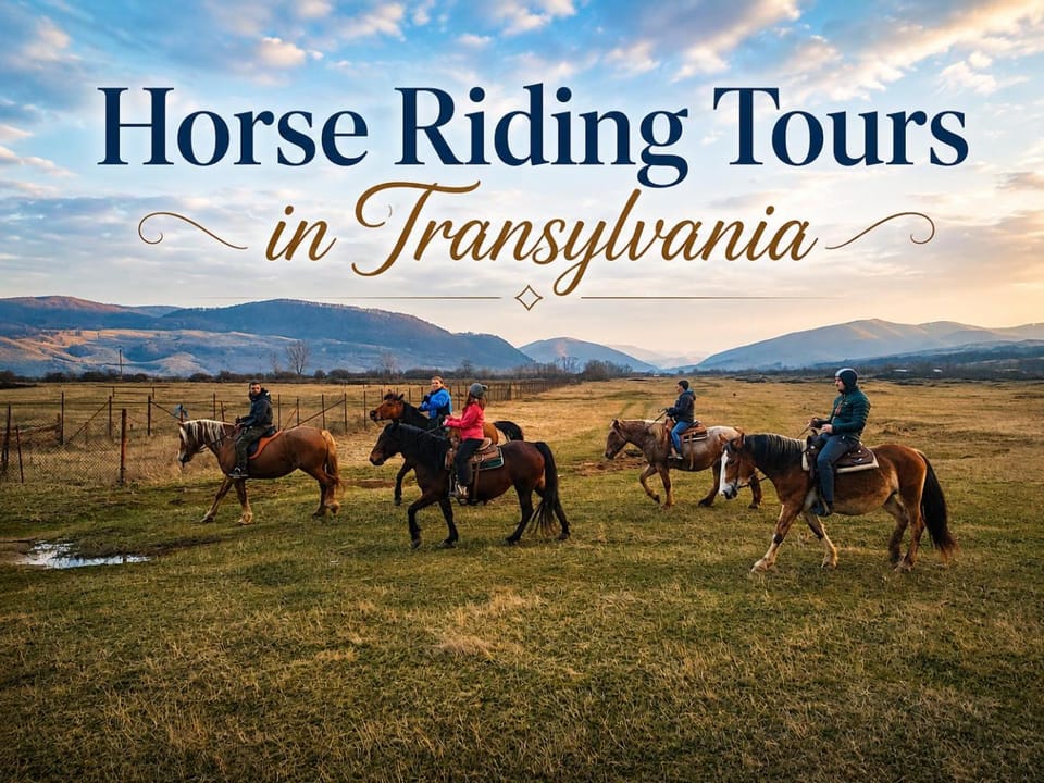 Day, People, Horse-riding, Animals, group of guests