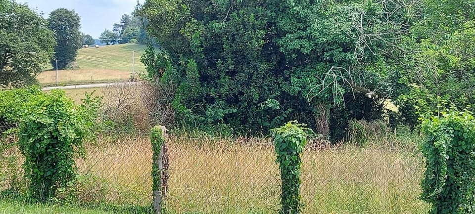 LES RÊVES BLEUS Bed and Breakfast in Brittany