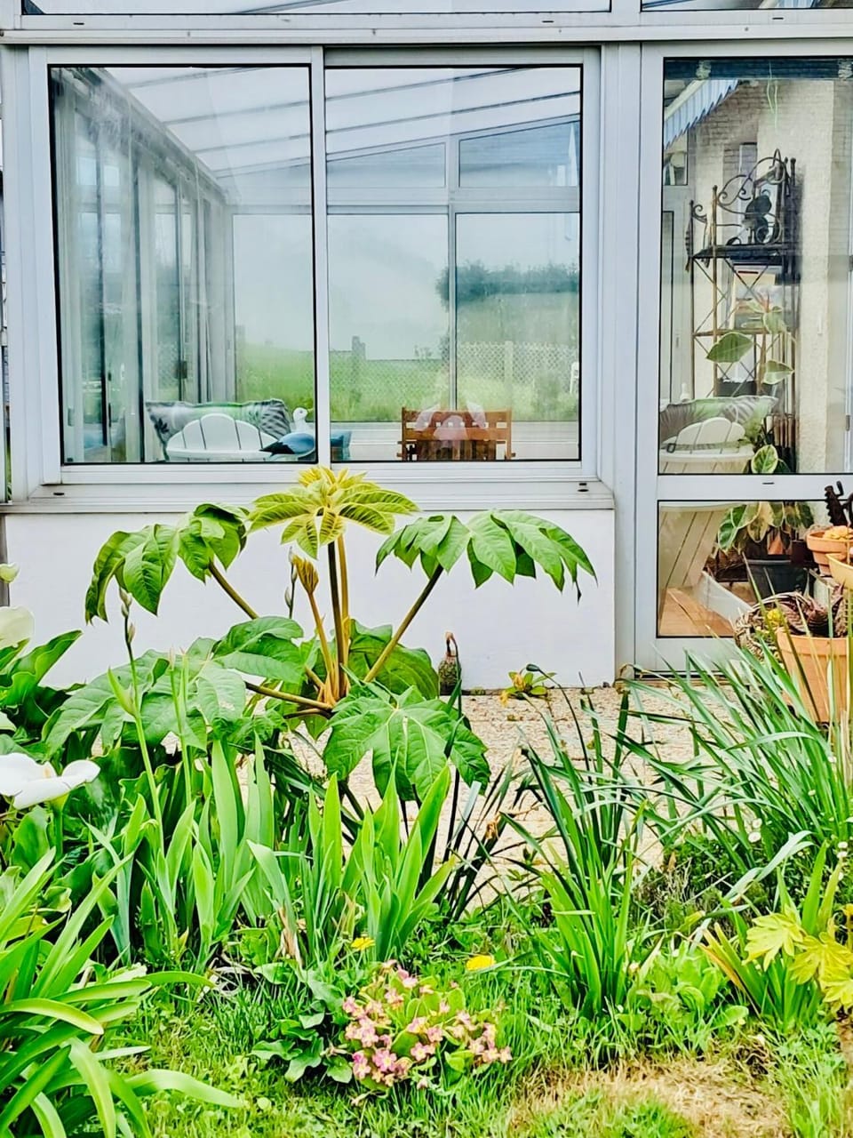Garden, Garden