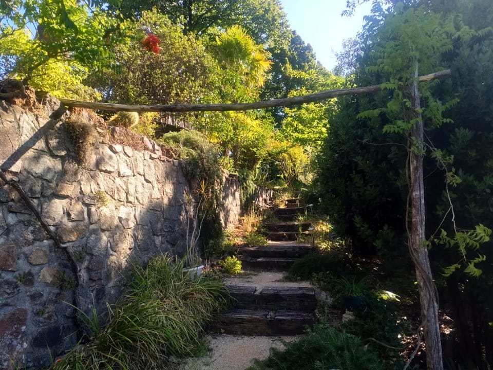 Garden, Garden