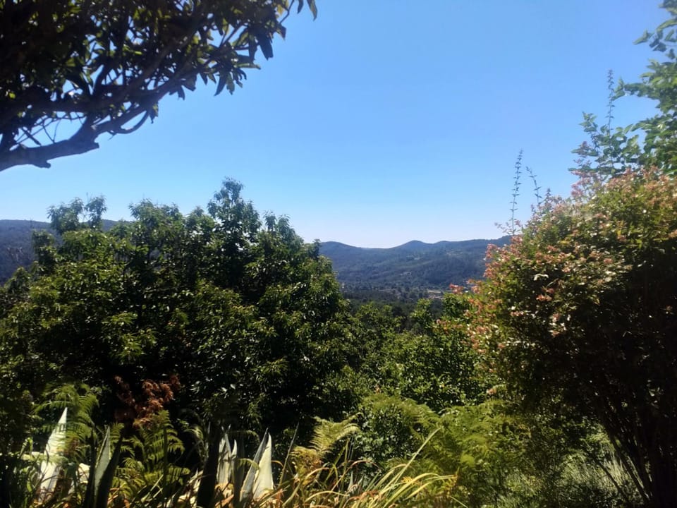 View (from property/room)