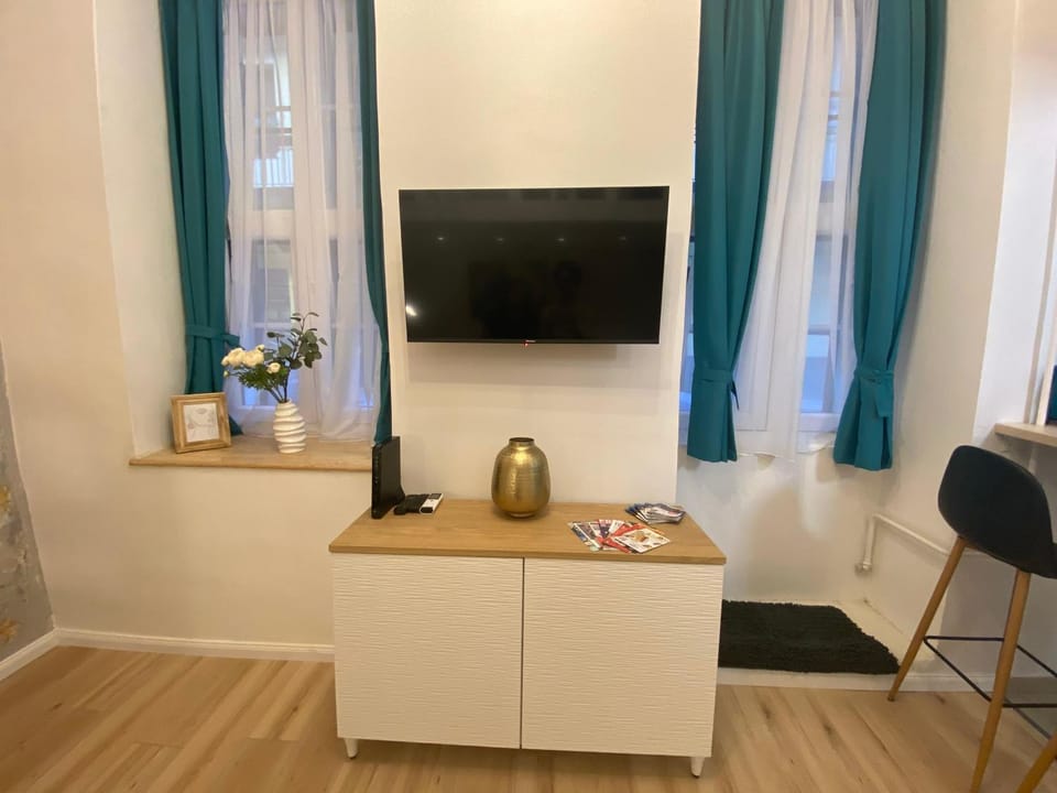 TV and multimedia
