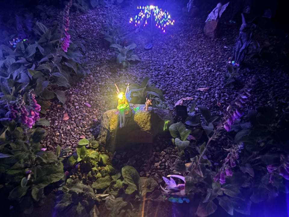 Night, Garden