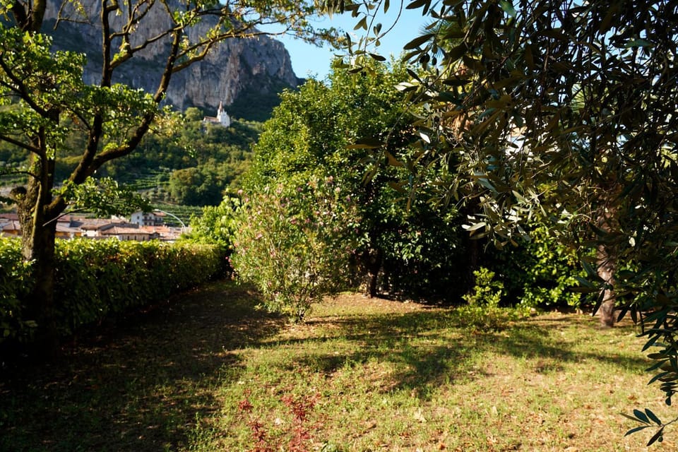 Natural landscape, Garden, Hiking