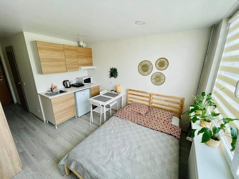 Taikos Studio 8,, free parking Apartment in Klaipėda