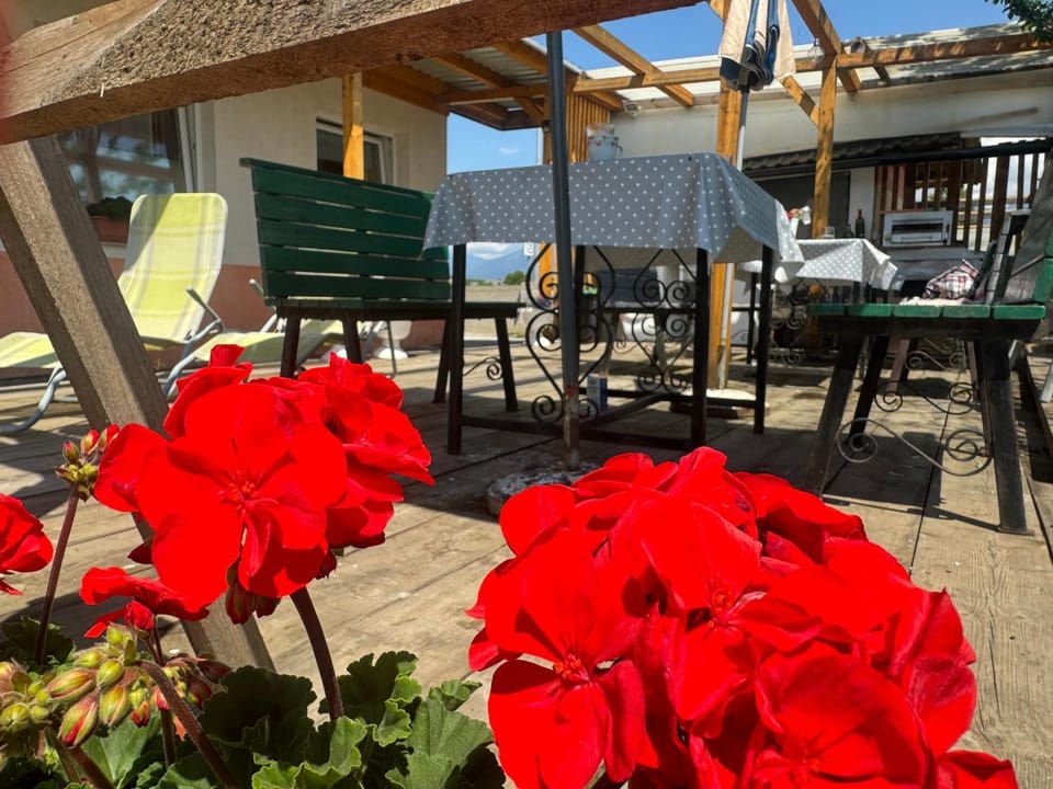 Patio, Garden, Balcony/Terrace, Other