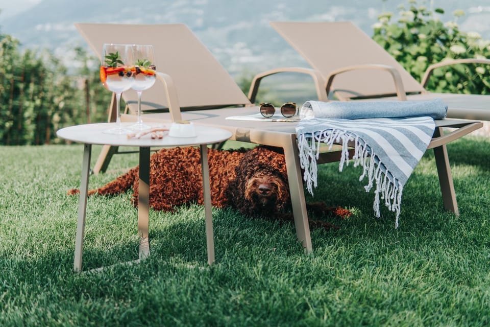 Natural landscape, BBQ facilities, Garden, Garden view
